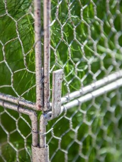 Chicken Wire Crop Coop Extension -Gardeners Supplies Sales 8611940 232 tif