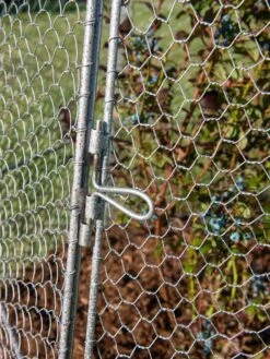 Chicken Wire Super Dome -Gardeners Supplies Sales 8611977 017 tif