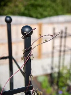 Essex Square Obelisk -Gardeners Supplies Sales 8611984 278 tif