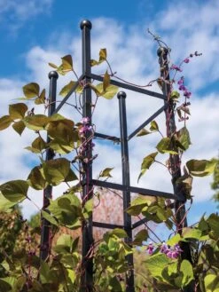 Essex Square Obelisk -Gardeners Supplies Sales 8611984 354 tif