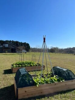 Insect And Pest Net Row Protector -Gardeners Supplies Sales 8611985 04 tif