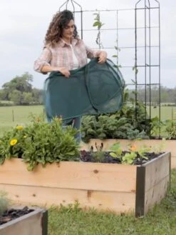 Insect And Pest Net Row Protector -Gardeners Supplies Sales 8611985 8389 tif