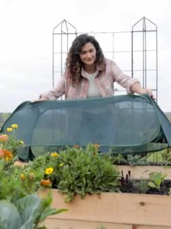 Insect And Pest Net Row Protector -Gardeners Supplies Sales 8611985 8390 tif