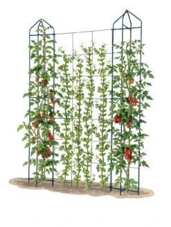 Zenith Trellis -Gardeners Supplies Sales 8612036 art tif
