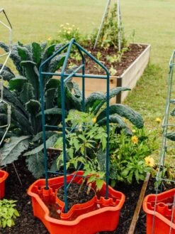 Deluxe Tomato Halos, Set Of 2 -Gardeners Supplies Sales 8612045 221 tif