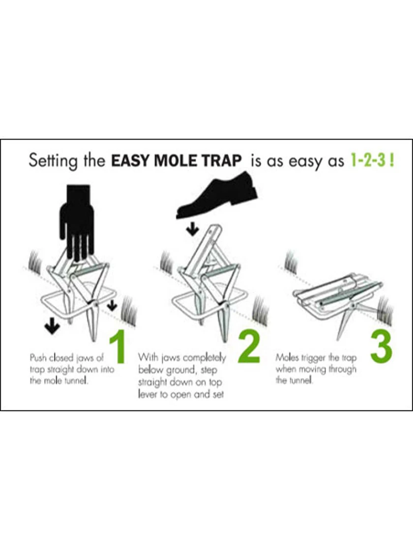 Easy Mole Trap 3 Easy Mole Trap - Image 3