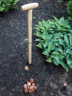 Wicked Big Dibber -Gardeners Supplies Sales 8612667 0028