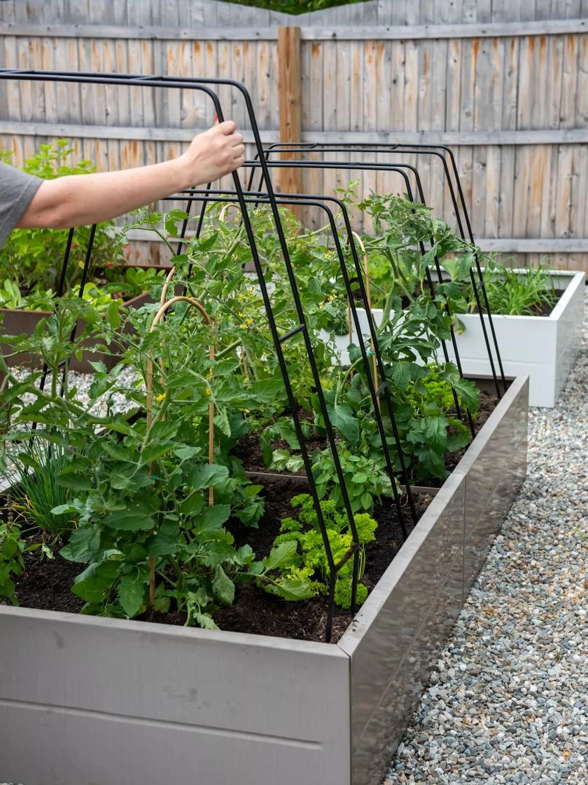 Zenith Garden Hoops, Set Of 4 1 Zenith Garden Hoops, Set Of 4