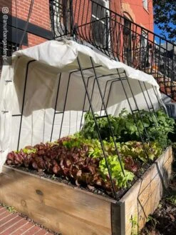 Cotton All Purpose Garden Cover 9 Cotton All Purpose Garden Cover -Gardeners Supplies Sales 8612816 01CUST