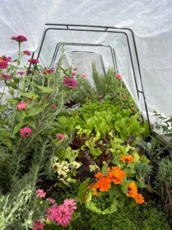 All-Purpose Garden Fabric -Gardeners Supplies Sales 8612816 01TEST