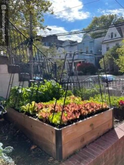 Zenith Garden Hoops, Set Of 4 14 Zenith Garden Hoops, Set Of 4 -Gardeners Supplies Sales 8612816 02CUST