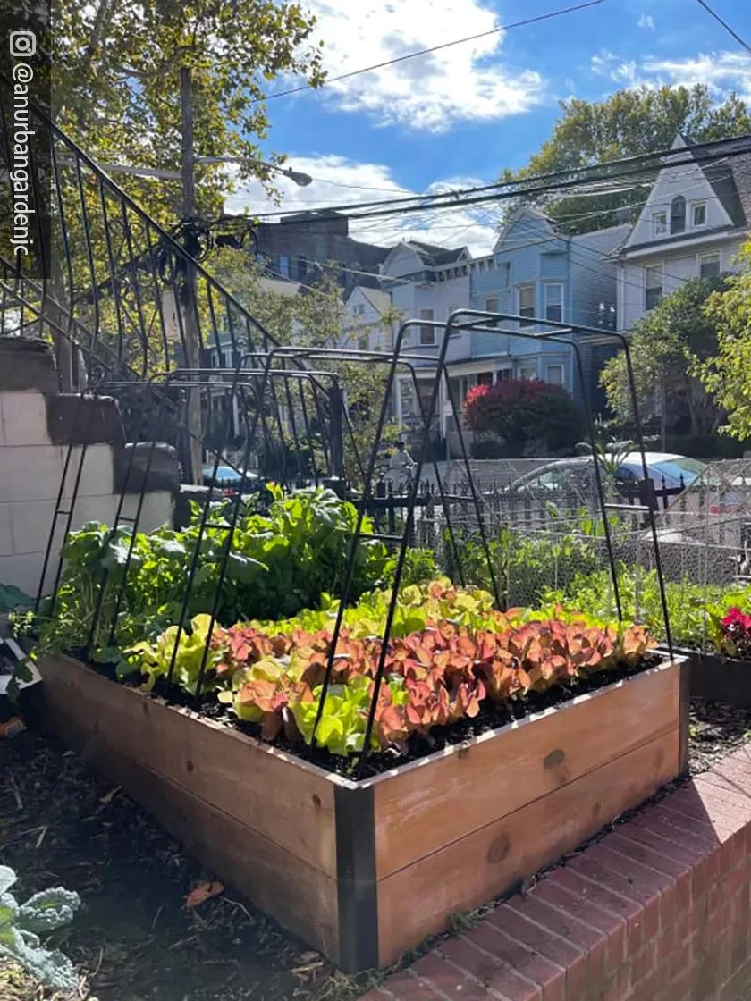 Zenith Garden Hoops, Set Of 4 7 Zenith Garden Hoops, Set Of 4 - Image 7