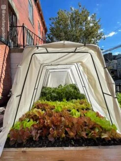 Cotton All Purpose Garden Cover 10 Cotton All Purpose Garden Cover -Gardeners Supplies Sales 8612816 03CUST