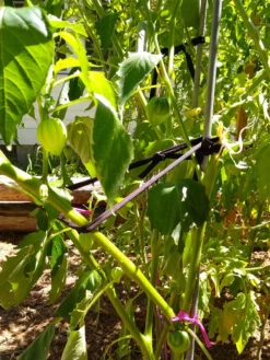 Farmyarn® Multipurpose Garden Tie, 2 Pack 14 Farmyarn® Multipurpose Garden Tie, 2 Pack -Gardeners Supplies Sales 8612948 02v