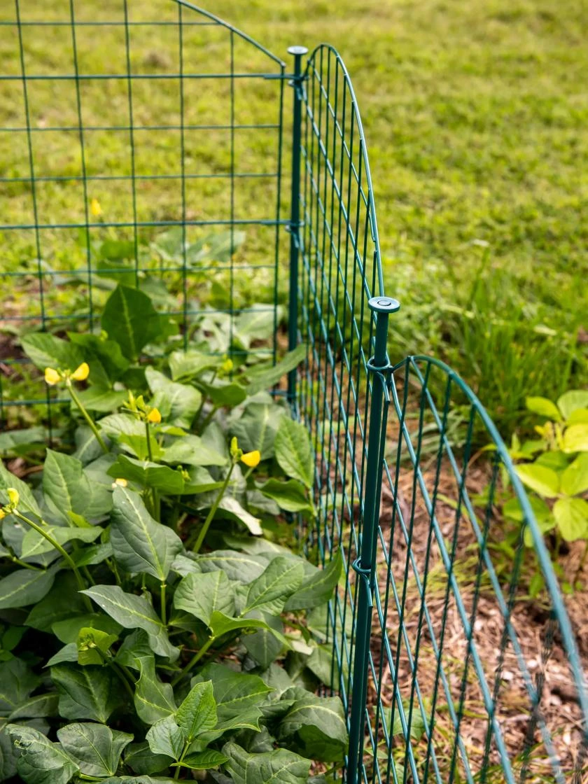 6 Panel Critter Fence With Gate 7 6 Panel Critter Fence With Gate - Image 7