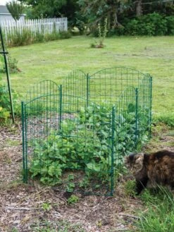 6 Panel Critter Fence With Gate 11 6 Panel Critter Fence With Gate -Gardeners Supplies Sales 8612967 2570 tif