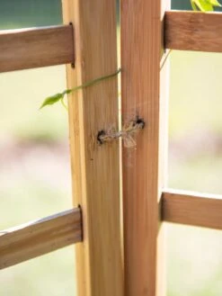 Bamboo Zig-Zag Trellis 24" X 36" 15 Bamboo Zig-Zag Trellis 24" X 36" -Gardeners Supplies Sales 8613151 6483