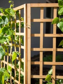 Bamboo Zig-Zag Trellis 24" X 36" 16 Bamboo Zig-Zag Trellis 24" X 36" -Gardeners Supplies Sales 8613151 6491