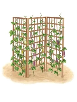 Bamboo Zig-Zag Trellis 24" X 36" 18 Bamboo Zig-Zag Trellis 24" X 36" -Gardeners Supplies Sales 8613151 art flat