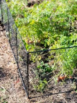 Chicken Wire Critter Fence, 16" High 17 Chicken Wire Critter Fence, 16" High -Gardeners Supplies Sales 8613249 0309