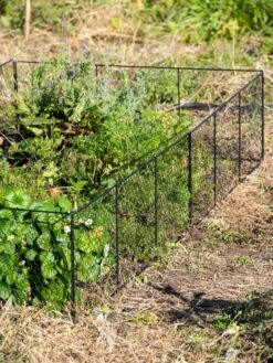 Chicken Wire Critter Fence, 16" High 18 Chicken Wire Critter Fence, 16" High -Gardeners Supplies Sales 8613249 0336