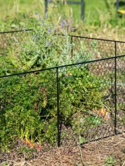 Chicken Wire Critter Fence, 16" High 14 Chicken Wire Critter Fence, 16" High -Gardeners Supplies Sales 8613249 0352