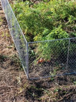 Chicken Wire Critter Fence, 16" High 15 Chicken Wire Critter Fence, 16" High -Gardeners Supplies Sales 8613249 0358