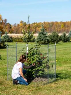 Tall Chicken Wire Critter Fence Extension Panel, Set Of 2 -Gardeners Supplies Sales 8613260 0044