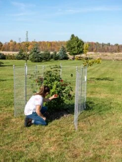 Tall Chicken Wire Critter Fence Extension Panel, Set Of 2 -Gardeners Supplies Sales 8613260 0090