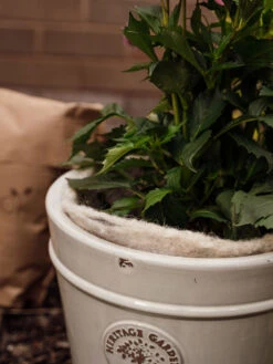 Hortiwool ®, 5 Pad Pack 14 Hortiwool ®, 5 Pad Pack -Gardeners Supplies Sales 8613263 17v