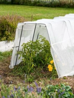 Zenith Garden Hoops, Set Of 4 11 Zenith Garden Hoops, Set Of 4 -Gardeners Supplies Sales 8613313 0133 1