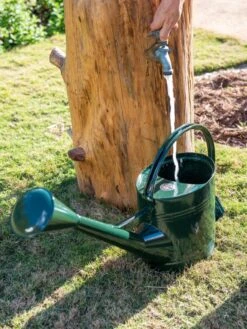 Long Reach Watering Can, Large -Gardeners Supplies Sales 8613346 0147