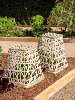 Bamboo Cloche, Set Of 2 -Gardeners Supplies Sales 8613351 0150 bamboo cloche set of 2