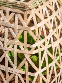 Bamboo Cloche, Set Of 2 -Gardeners Supplies Sales 8613351 0153