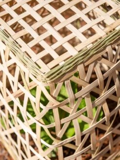 Bamboo Cloche, Set Of 2 -Gardeners Supplies Sales 8613351 0154