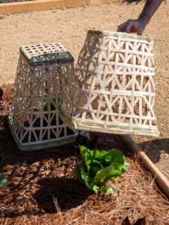 Bamboo Cloche, Set Of 2 -Gardeners Supplies Sales 8613351 0157