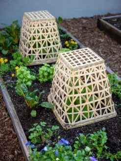 Bamboo Cloche, Set Of 2 -Gardeners Supplies Sales 8613351 6766