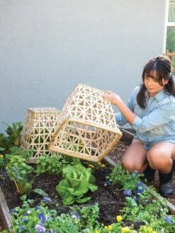 Bamboo Cloche, Set Of 2 -Gardeners Supplies Sales 8613351 6862