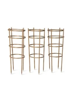 Bamboo Tomato Cages, Set Of 3 15 Bamboo Tomato Cages, Set Of 3 -Gardeners Supplies Sales 8613426 4679 bamboo tomato cages 3