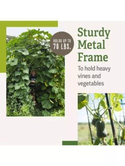 Titan Squash Tunnel 11 Titan Squash Tunnel -Gardeners Supplies Sales B07932DMCR plantsupport benefits 2