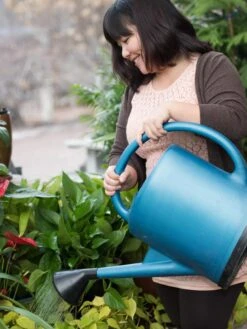 French Blue Watering Can 13 French Blue Watering Can -Gardeners Supplies Sales EmilyHoangSquare 0151 tif