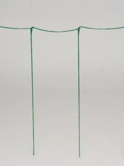 Curved Linking Stakes -Gardeners Supplies Sales GS35241 04S tif