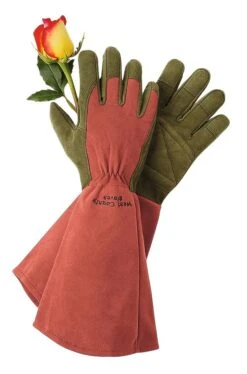 Rose Gloves -Gardeners Supplies Sales GS36874 01Z tif