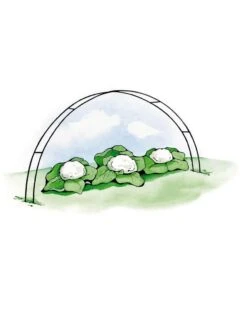 Super Hoops, Set Of 6 -Gardeners Supplies Sales GS39423 02S 3 4