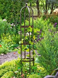 Jardin Bird Cage Support, 26" -Gardeners Supplies Sales GS39529 01 tif