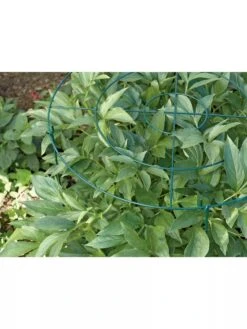 Grow Through Supports, Set Of 3 -Gardeners Supplies Sales GS40172 01 1