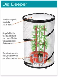 Tomato TLC Kits, Set Of 3 -Gardeners Supplies Sales hiw 8594214 jpg