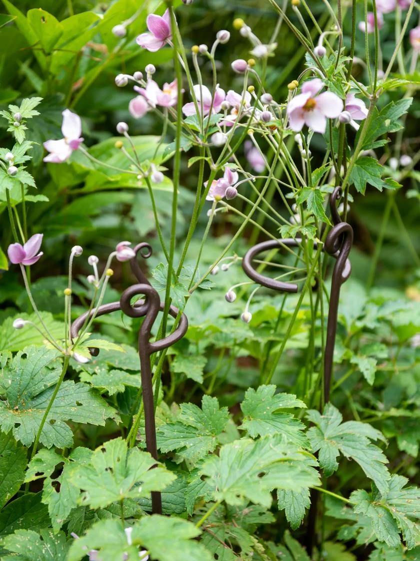 Gardeners Supplies Sales -Gardeners Supplies Sales 8609887 8022 tif